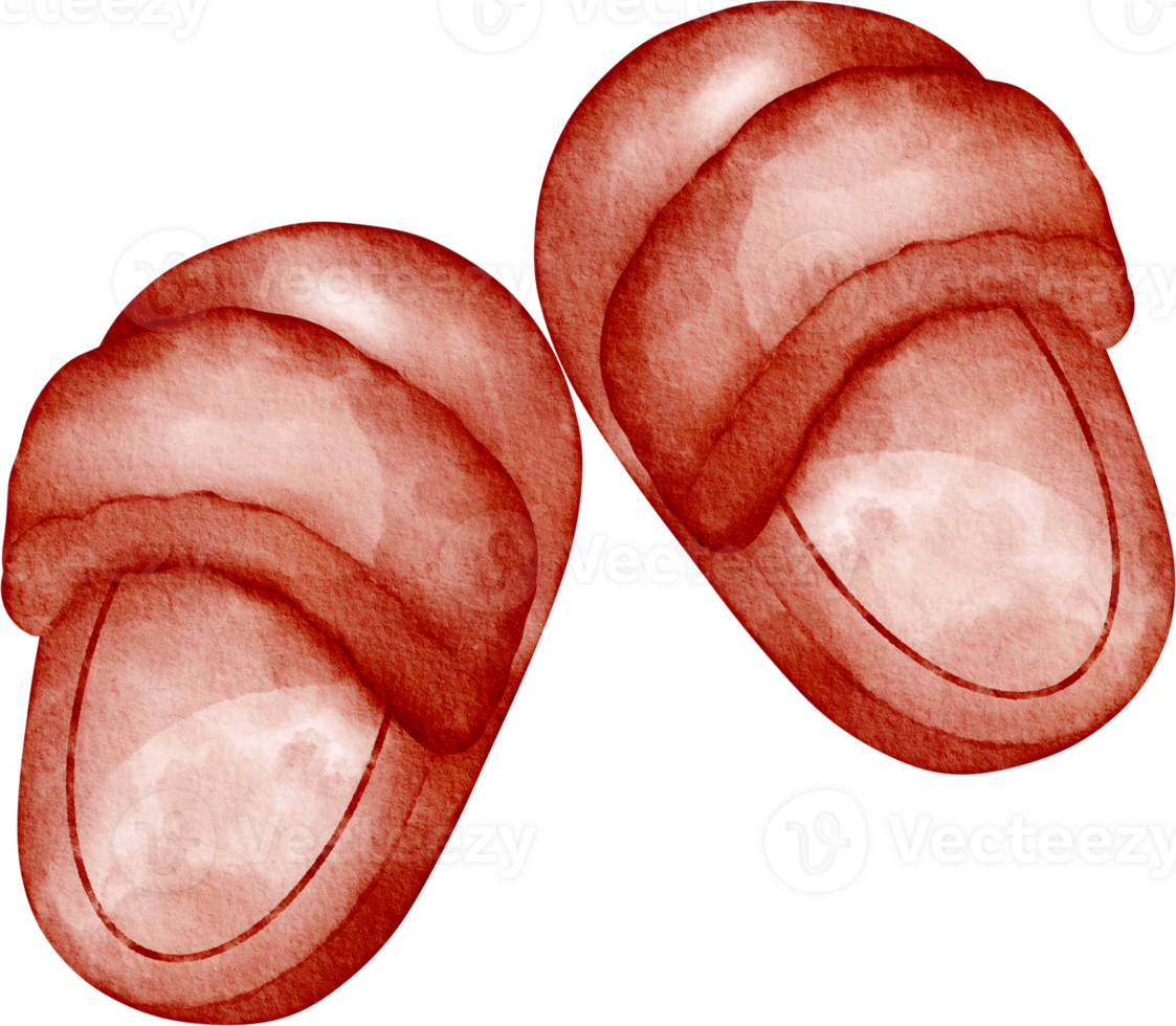 watercolor autumn slipper shoes png