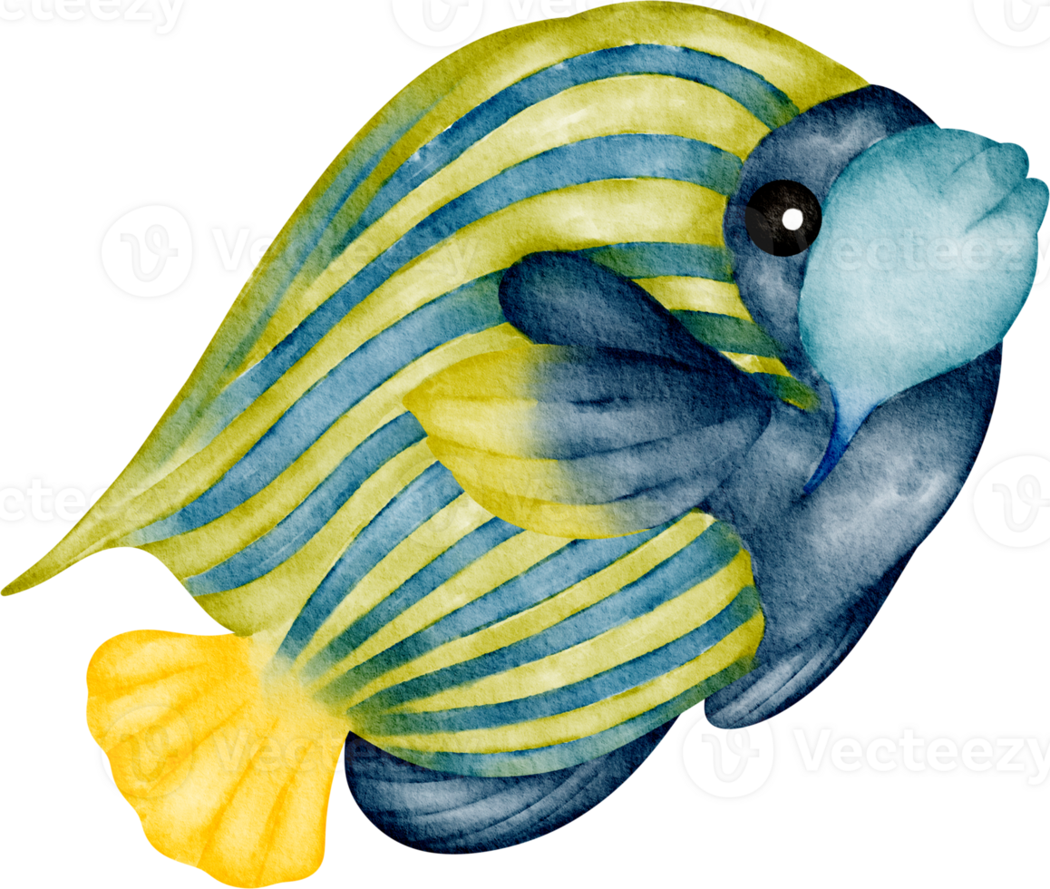 Aquarell Meer Tier Meer Fisch png