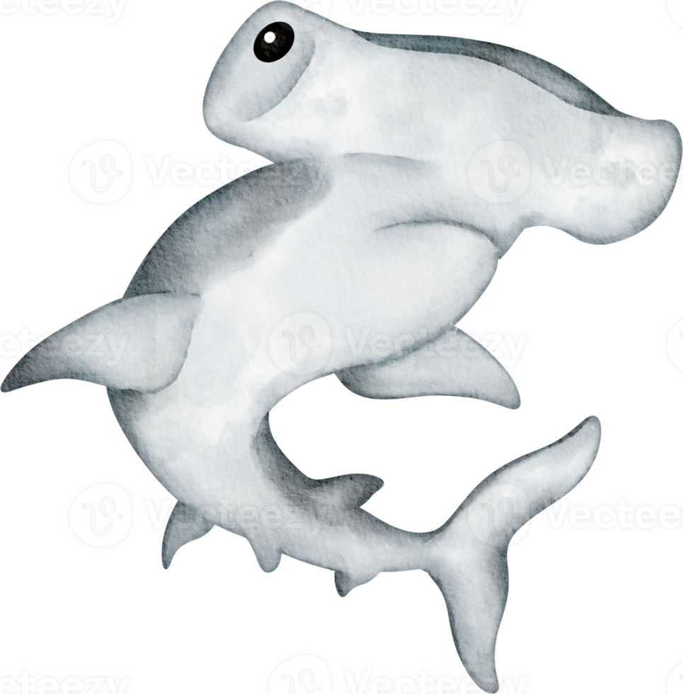 watercolor sea animal hammerhead shark 36910165 PNG