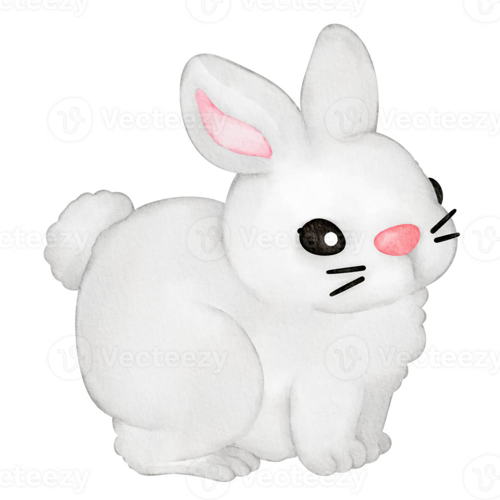 watercolor animal rabbit png