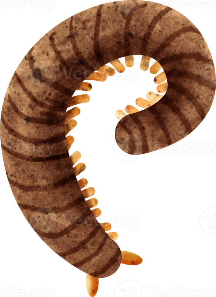 watercolor insect millipede png