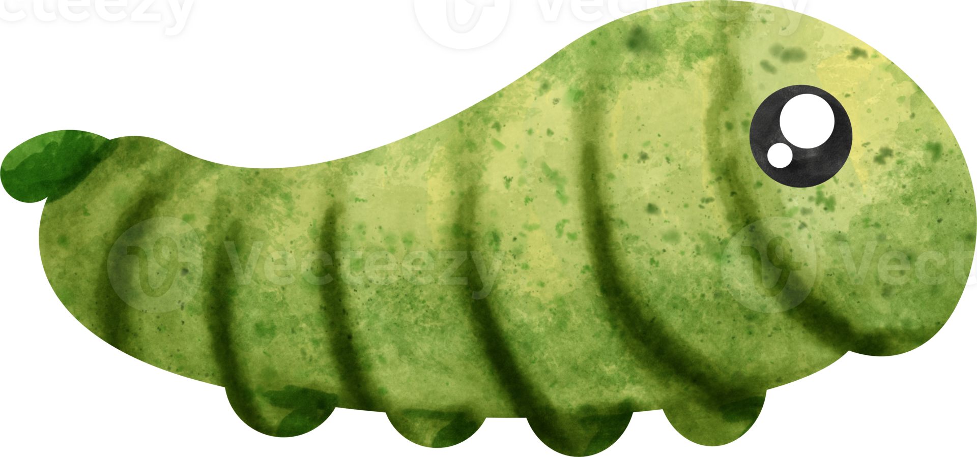watercolor insect caterpillar png