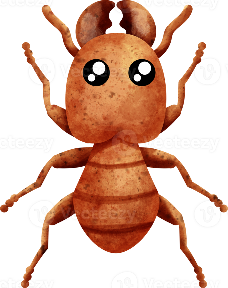 watercolor insect termite png