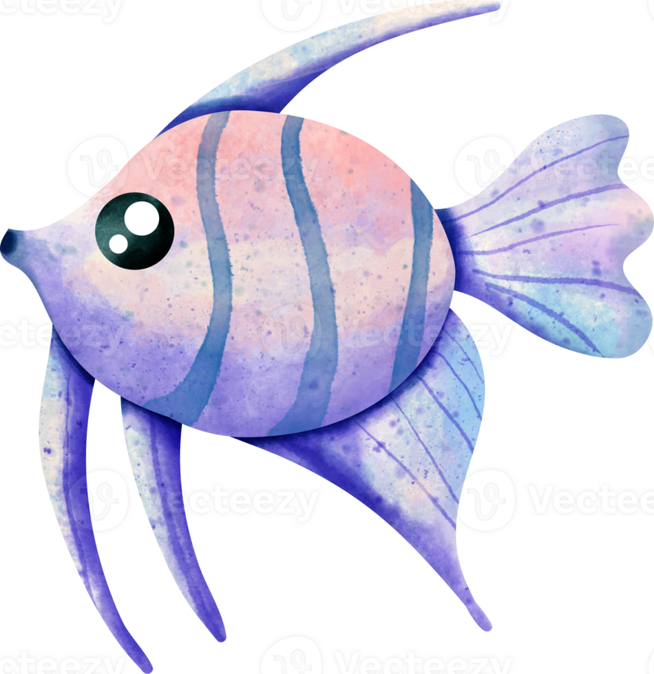 watercolor sea angelfish png