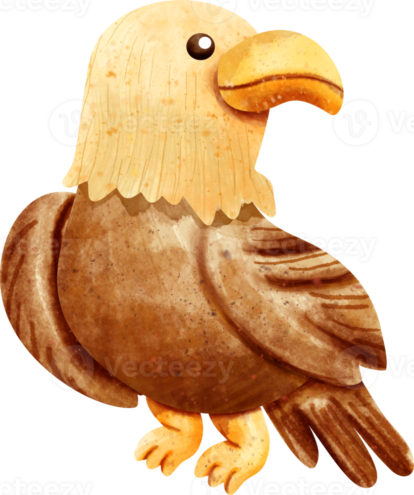 watercolor cartoon eagle png