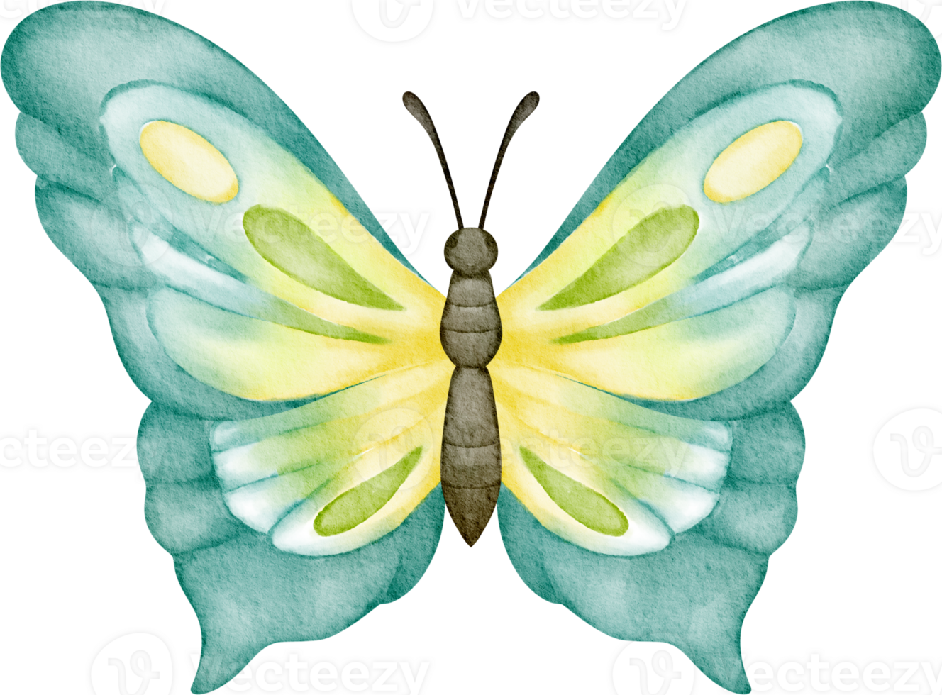 watercolor blue butterfly clip art png