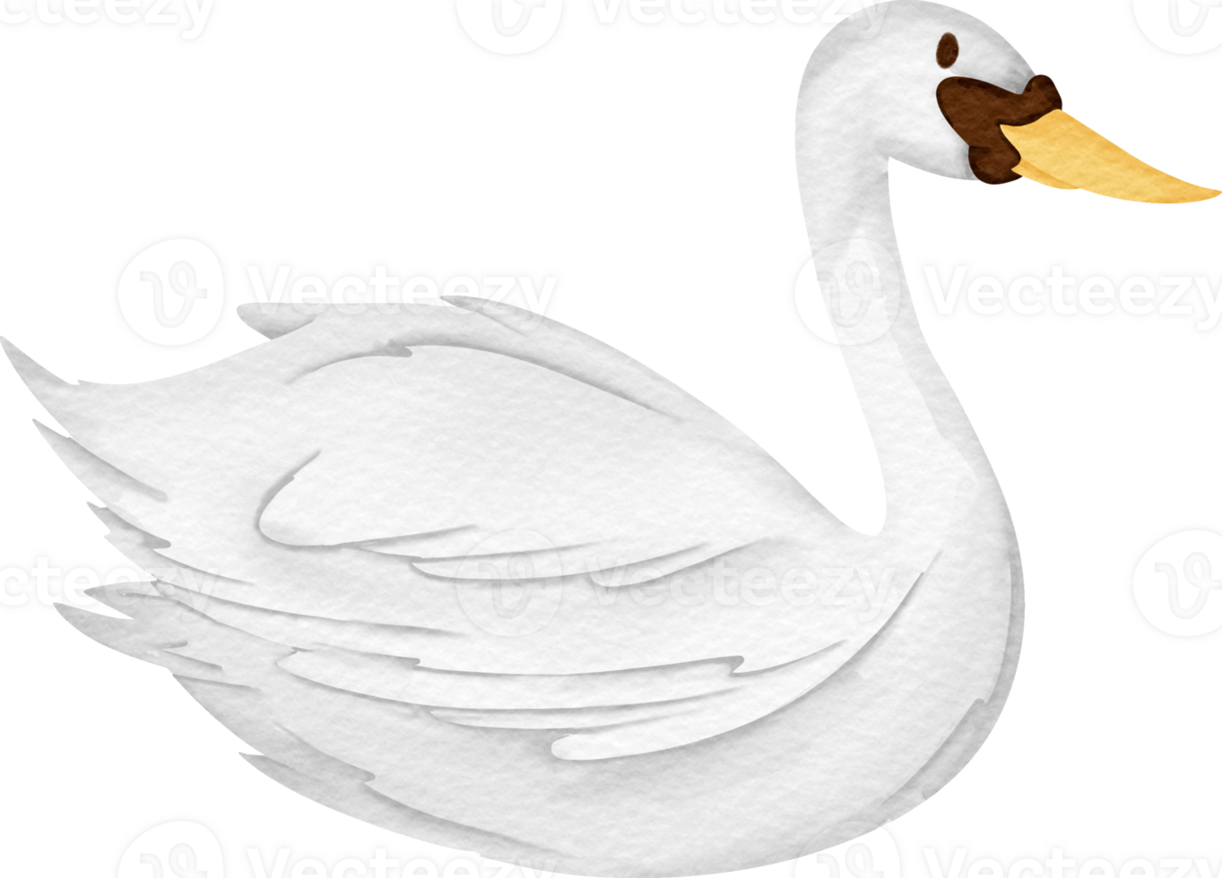 watercolor animal Swan png
