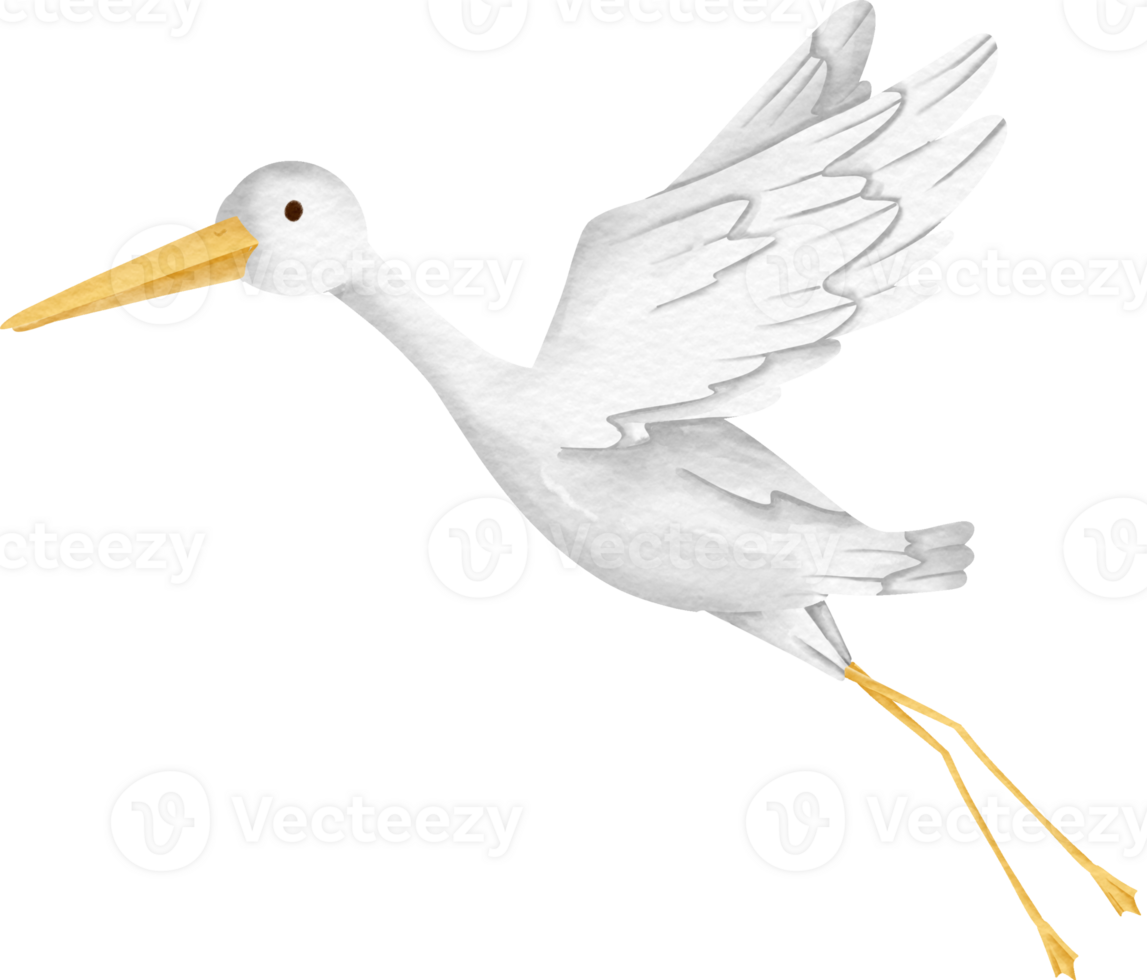 watercolor animal Stork png