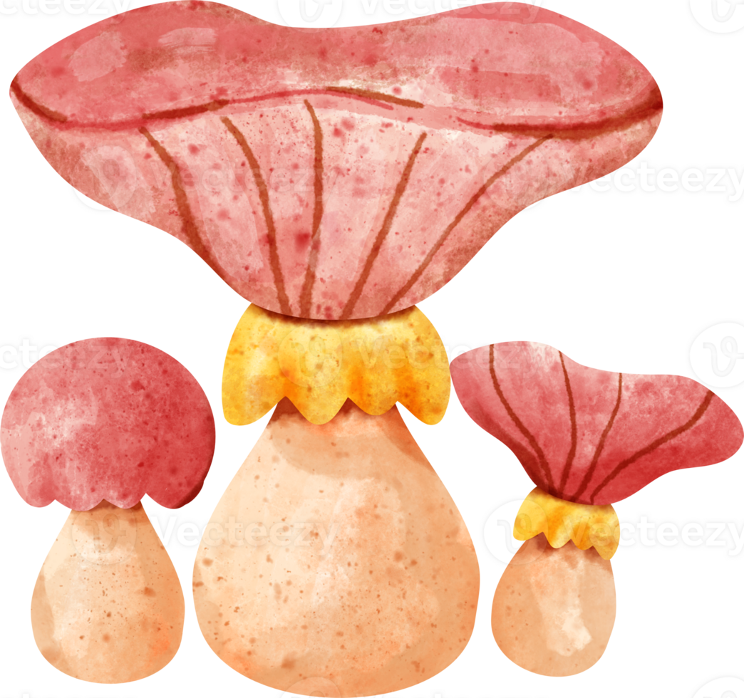 watercolor mushroom autumn png