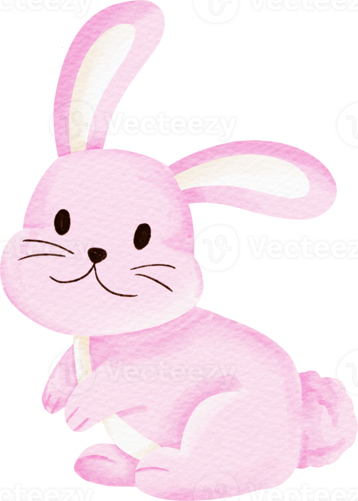 watercolor cute animal Rabbit png