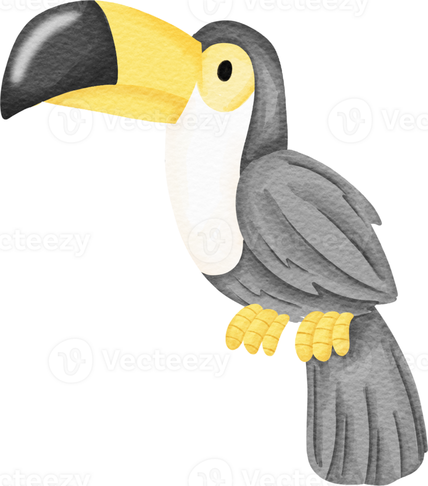 watercolor animal toucan png