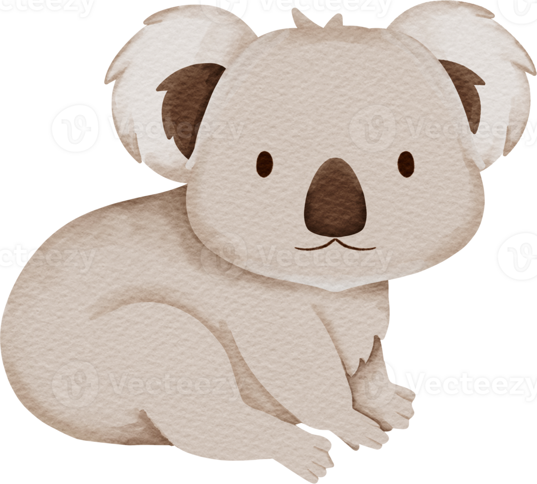 watercolor animal koala png