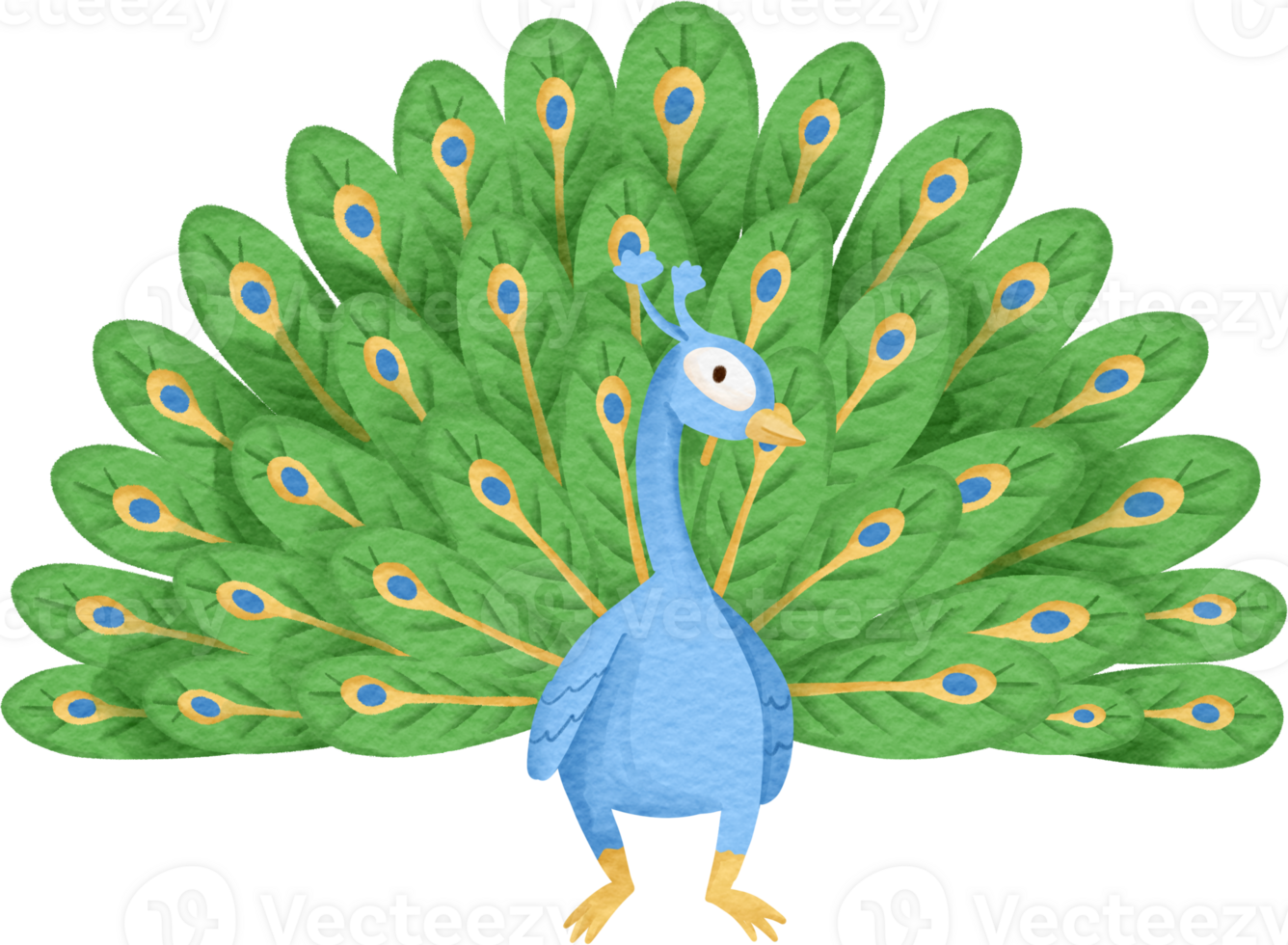 watercolor animal Peacock png