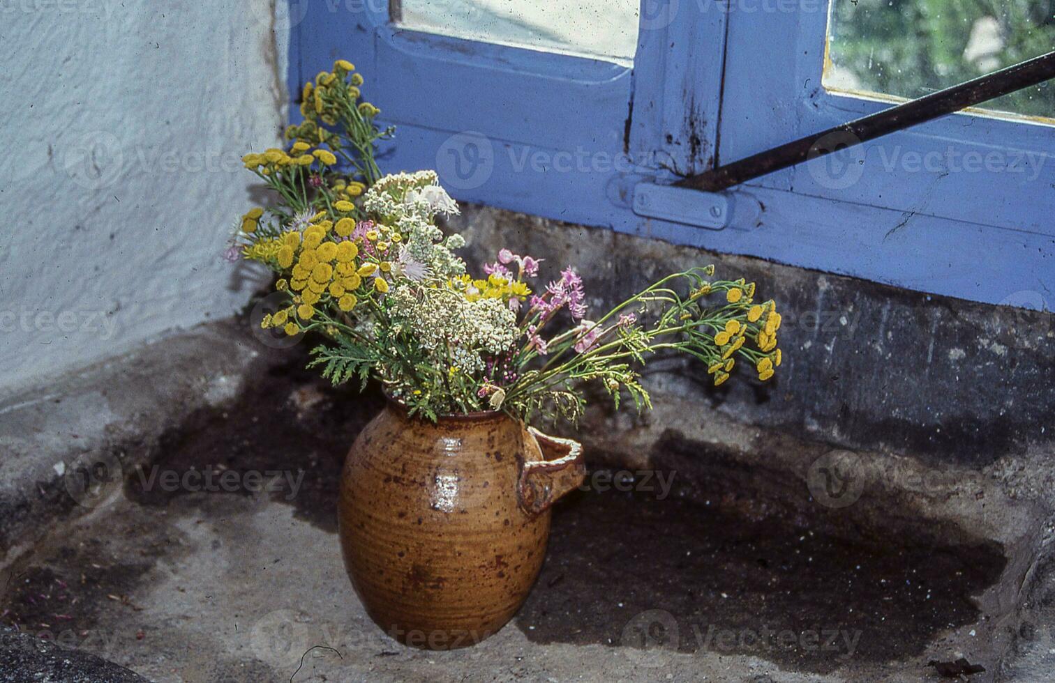 a vase of flowers sitting on a window sill photo