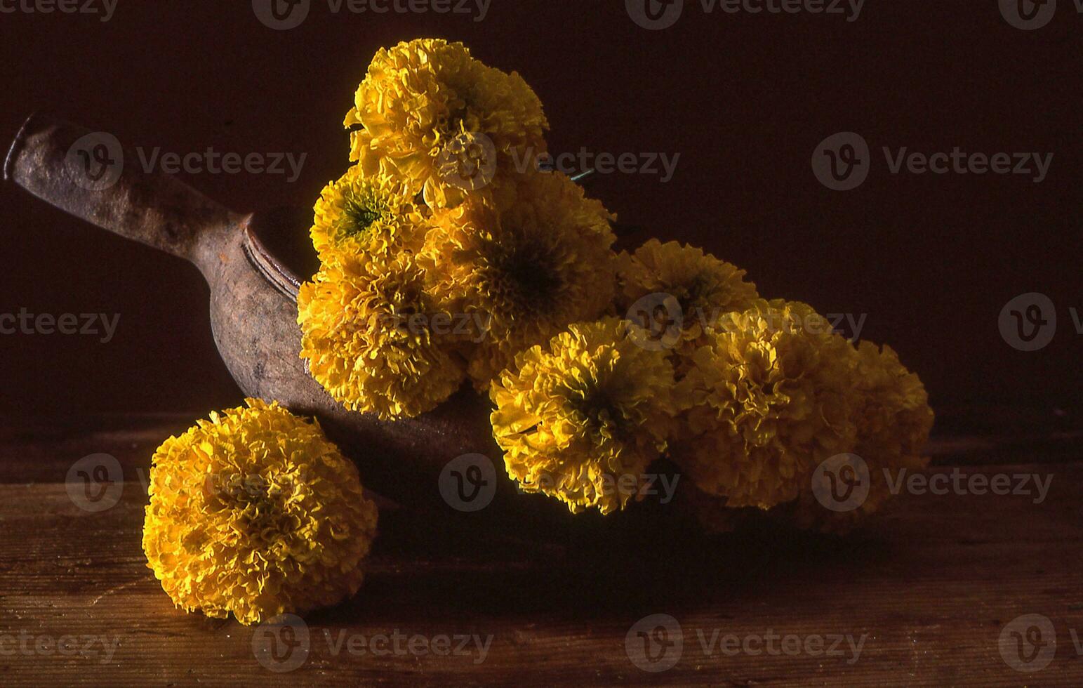 a bunch of yellow flowers photo