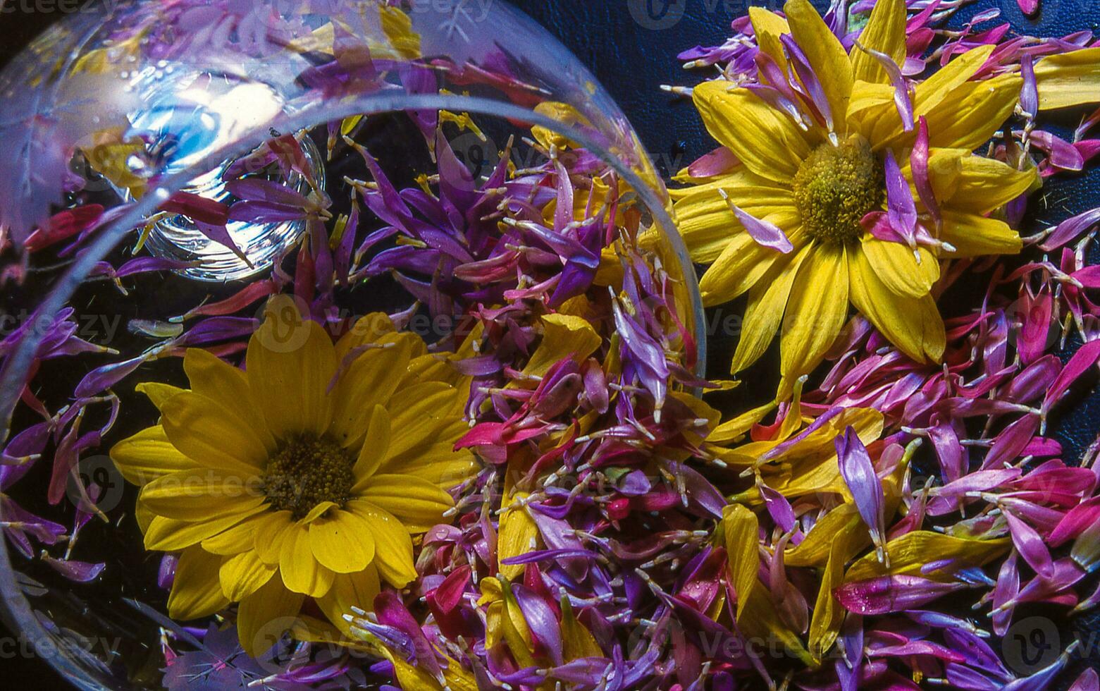 a bowl filled with flowers and a mirror photo