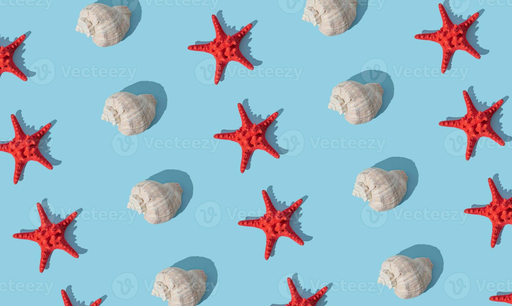 Trendy sunlight summer pattern made with sea shell and red starfish on light blue background. Minimal summer concept. Creative sea shell and starfish idea. Summer aesthetic. photo