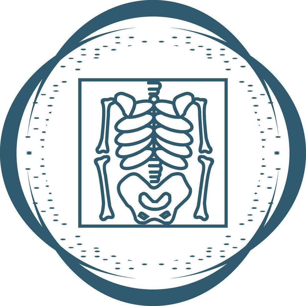 Skeleton Vector Icon