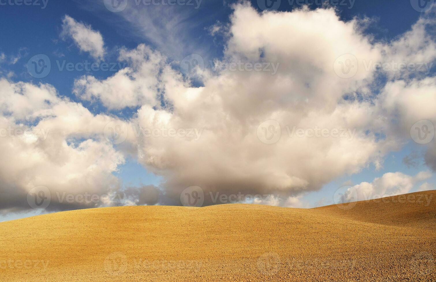 The Tuscanian hills photo