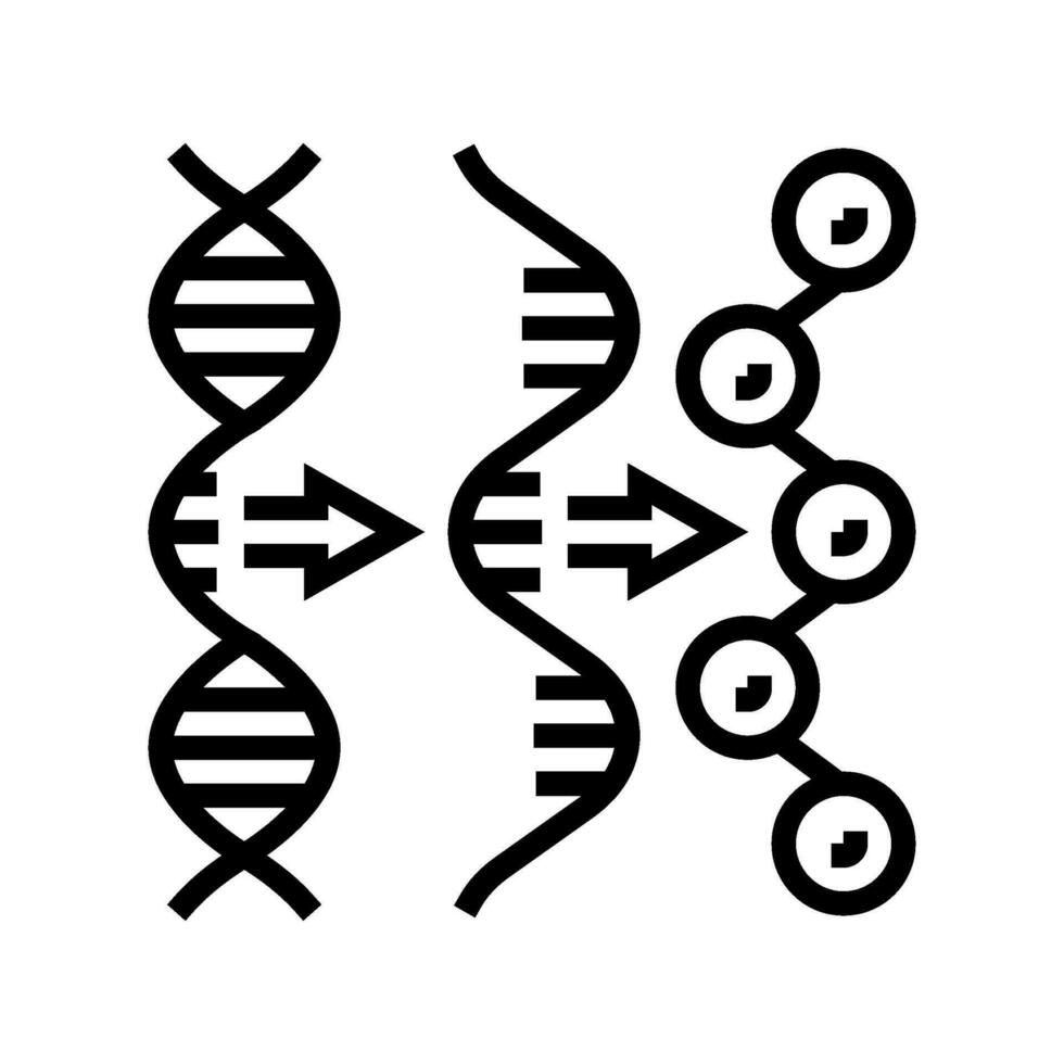 gene expression cryptogenetics line icon vector illustration