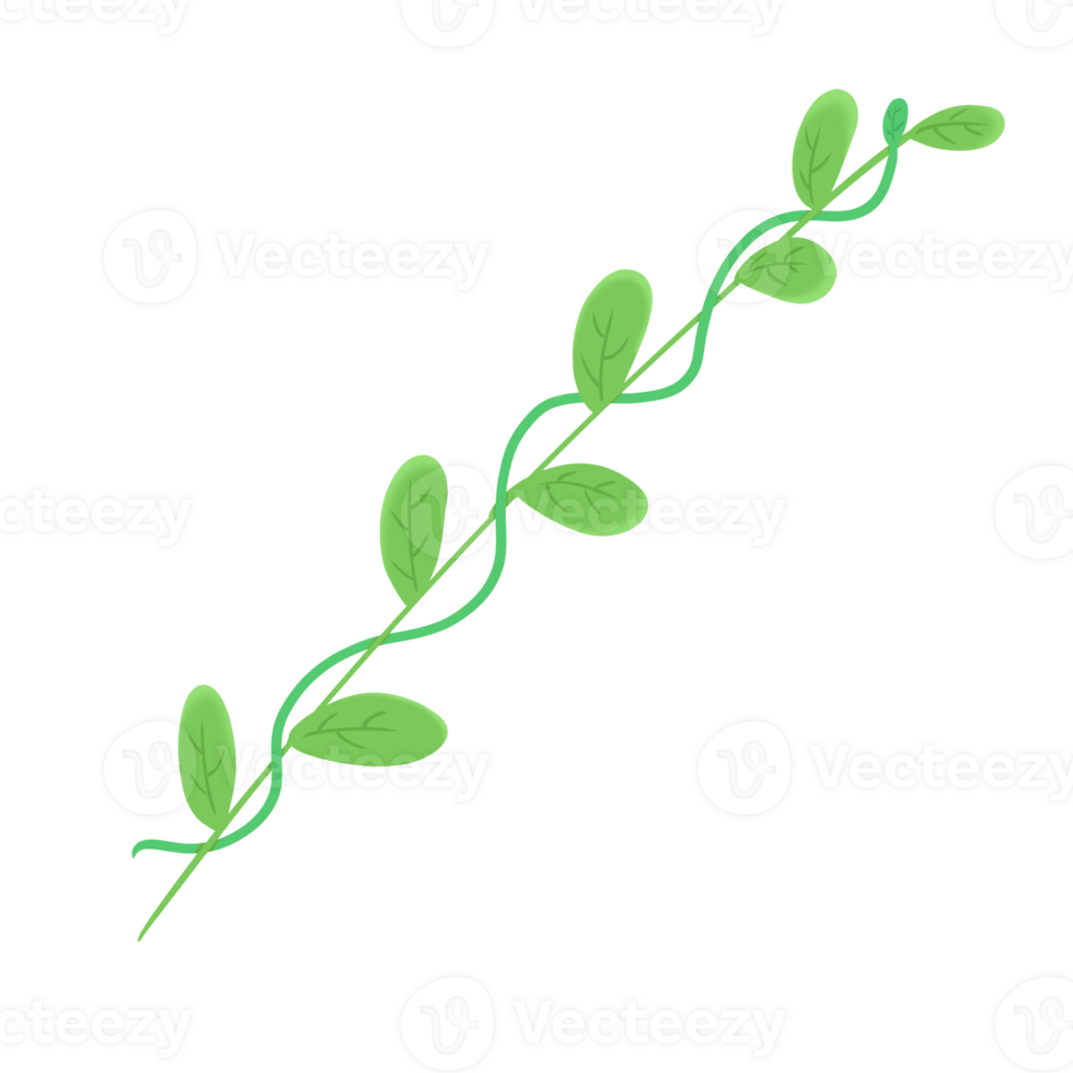 leaf branch icon png