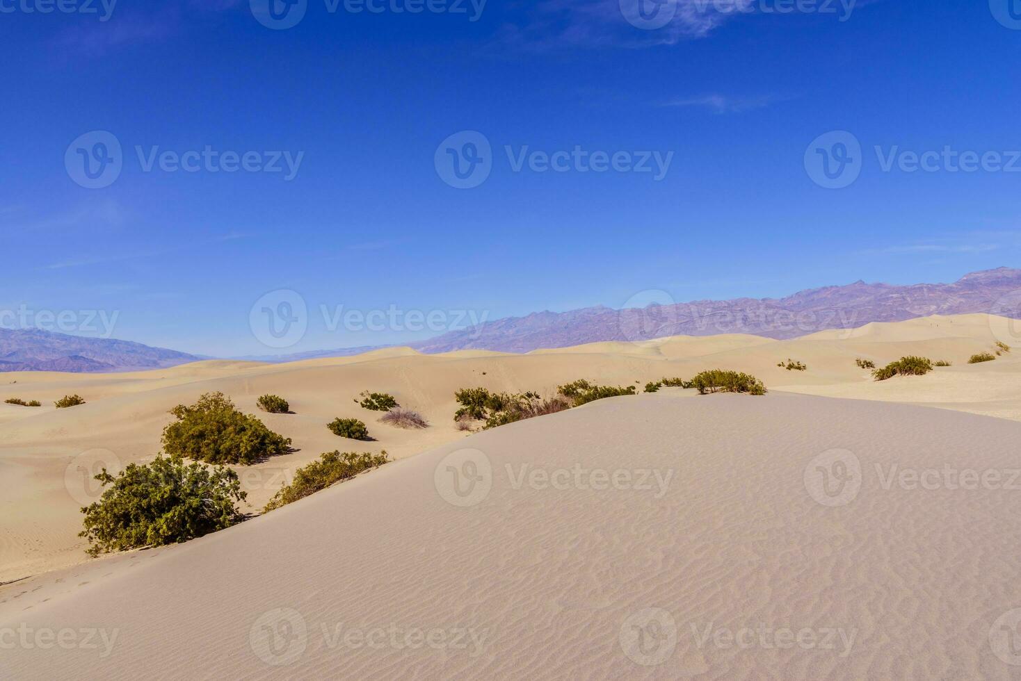 Sand dunes in Death Valley National Park photo