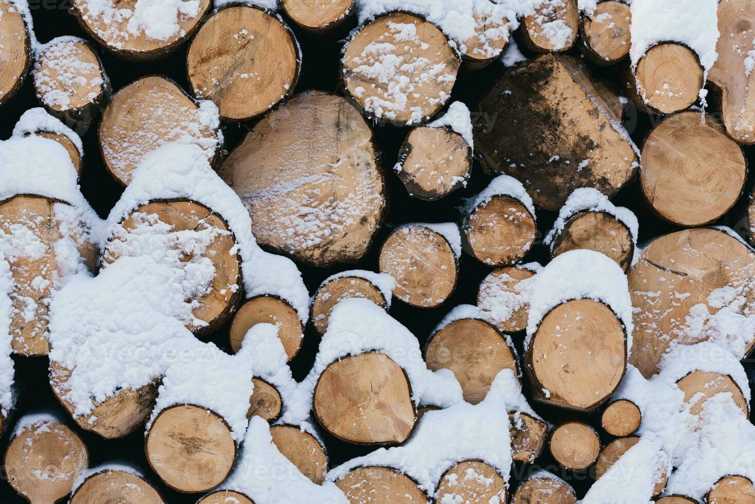 pila de Cortado madera cubierto con nieve foto