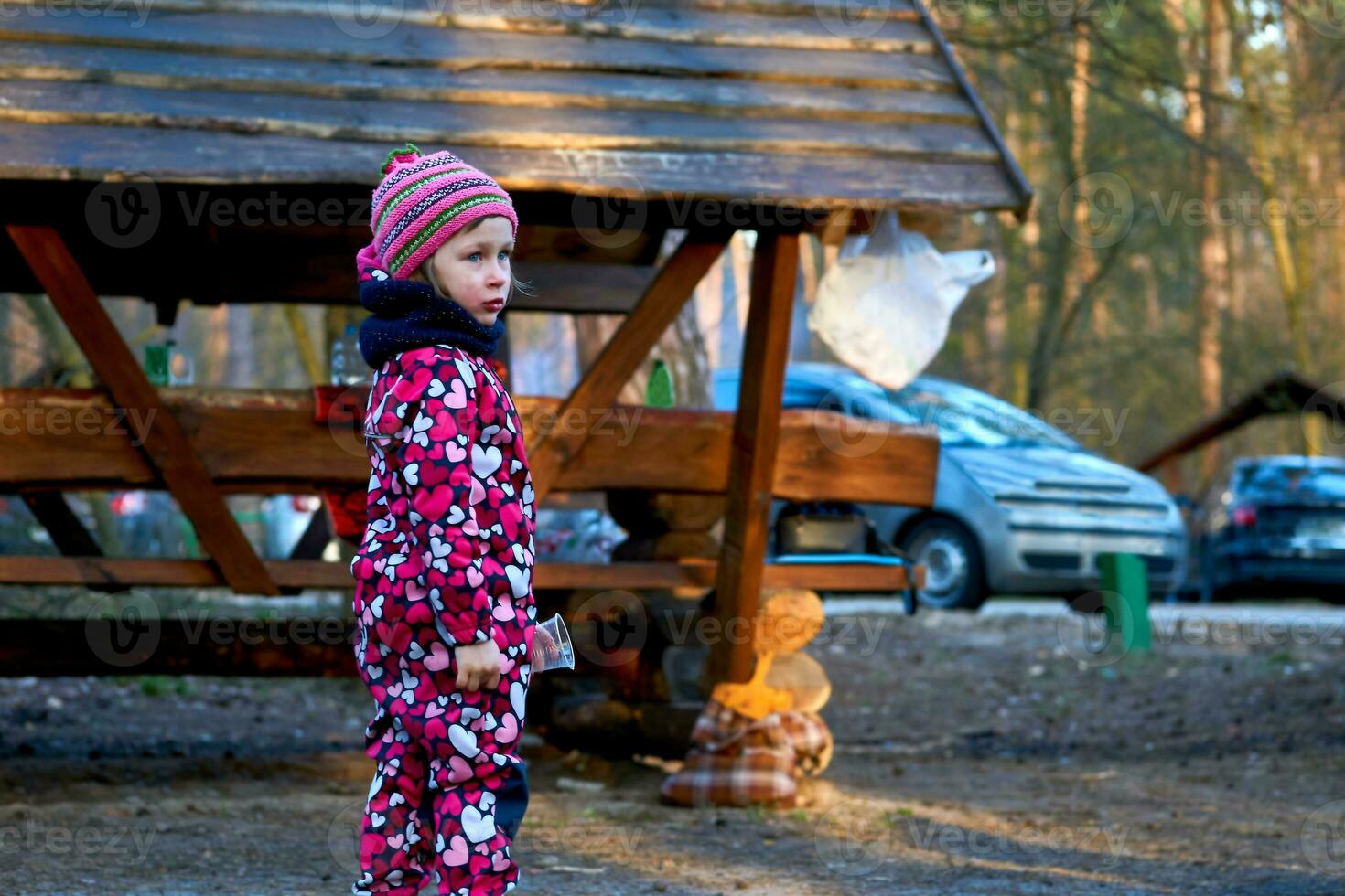 Preschool girl in red overalls at an autumn spring picnic photo