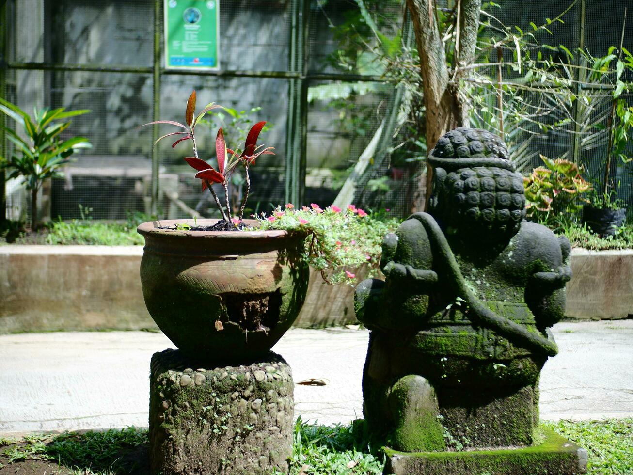 Sculptures and houseplants in the garden photo