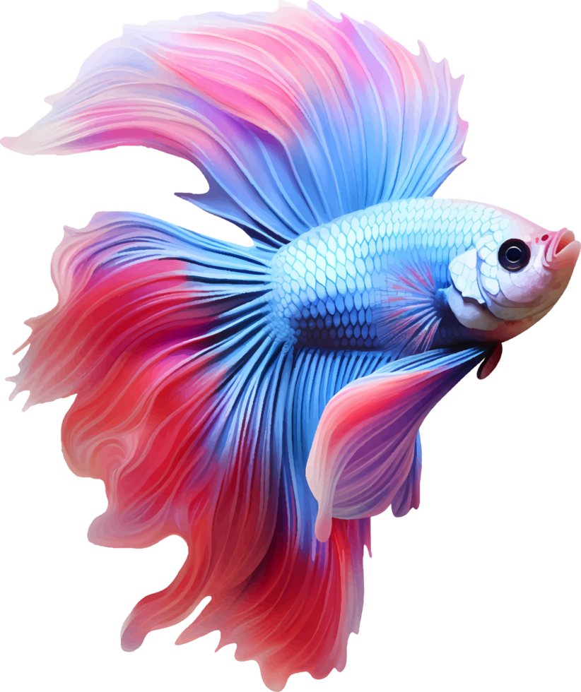 AI generated Colorful bushy tailed betta fish on transparent background png