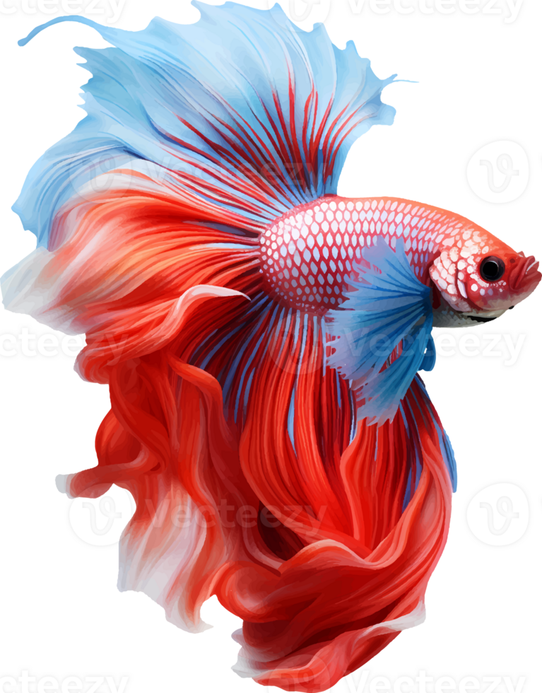 AI generated Colorful bushy tailed betta fish on transparent background png