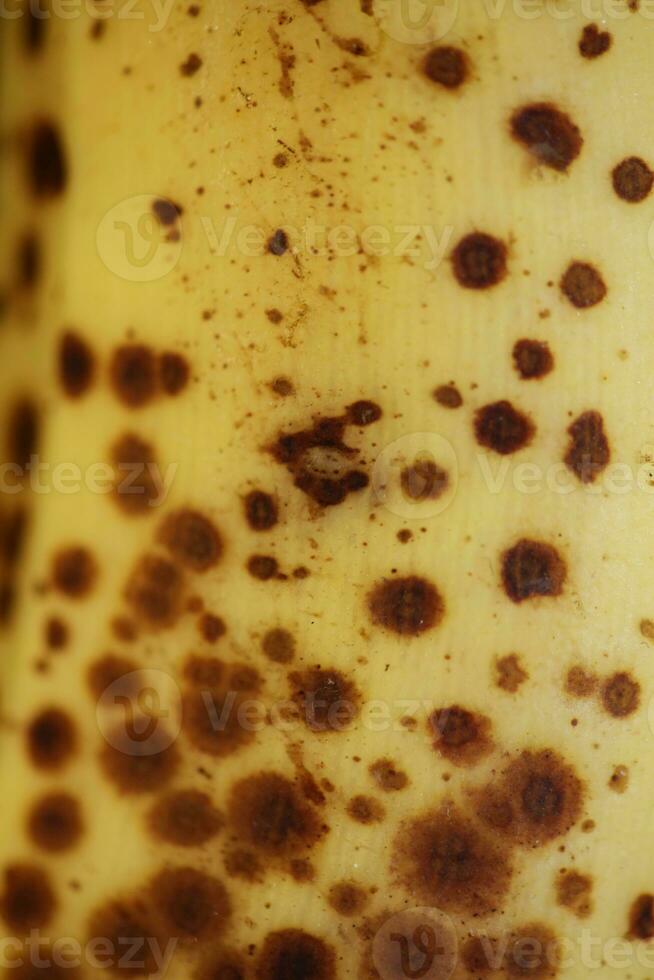 Banana with dark spots with shadow isolated close up macro botanical food porn backgrounds selective focus big size high quality instant printings photo