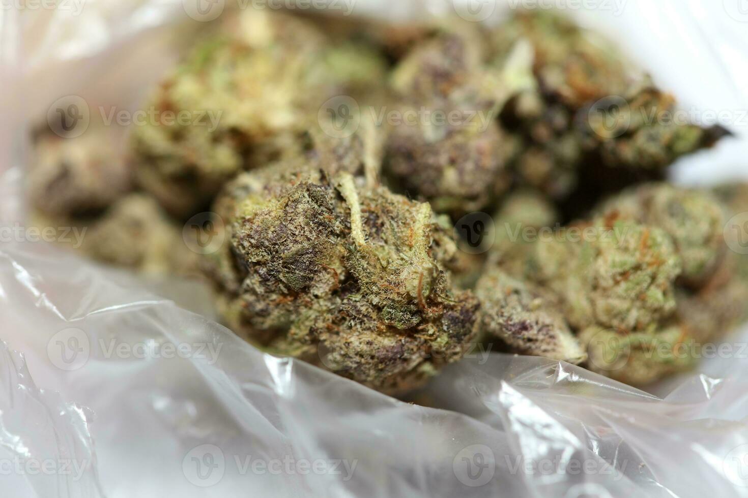 Cannabis buds macro super cali variety medical marihuana Covid19 quarantine stuff fifty megapixels modern botanical instant printings photo