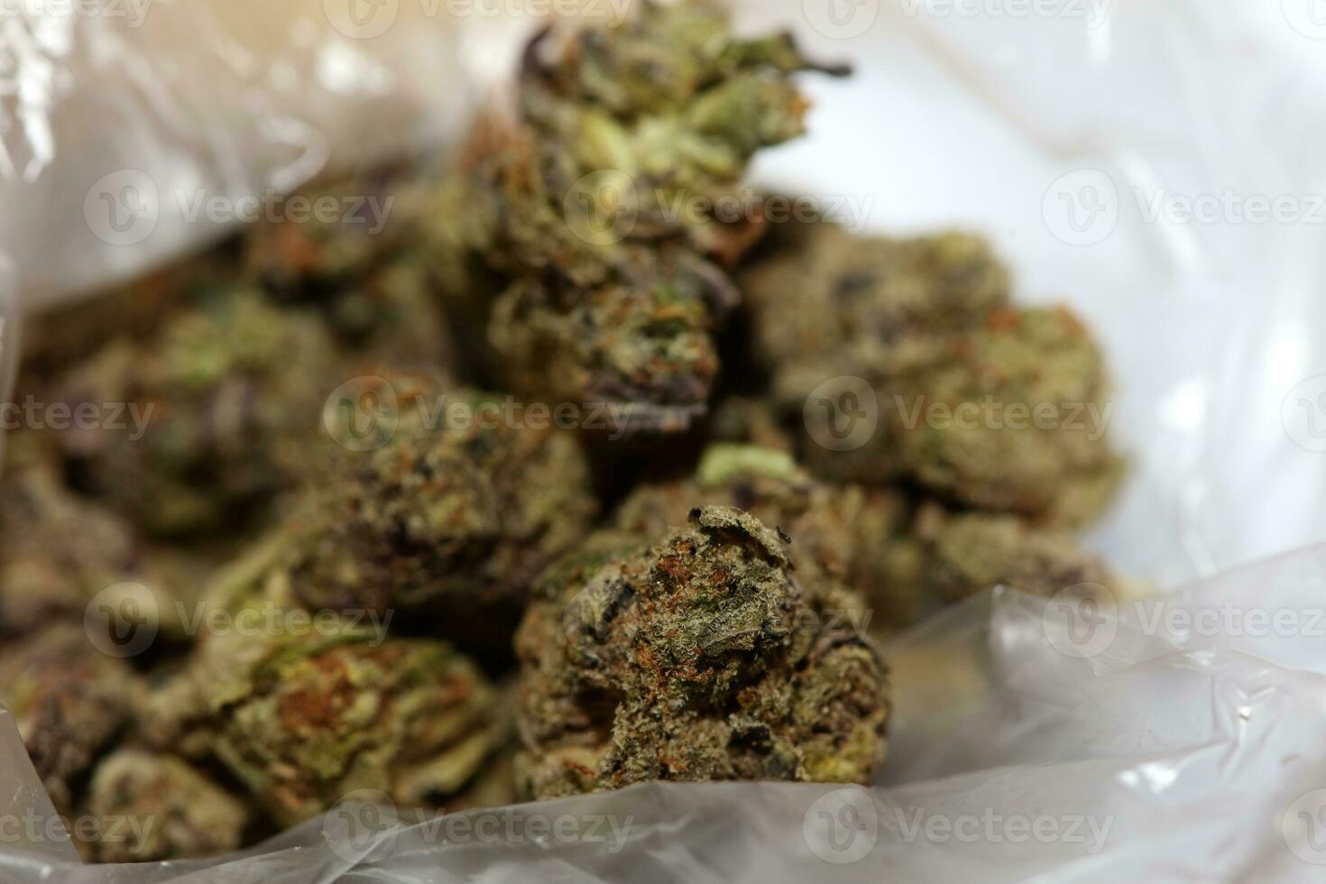 Cannabis buds macro super cali variety medical marihuana Covid19 quarantine stuff fifty megapixels modern botanical instant printings photo