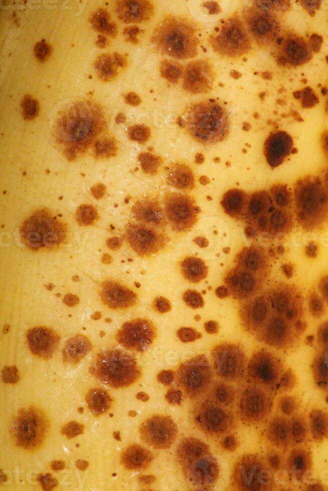 Banana with dark spots with shadow isolated close up macro botanical food porn backgrounds selective focus big size high quality instant printings photo