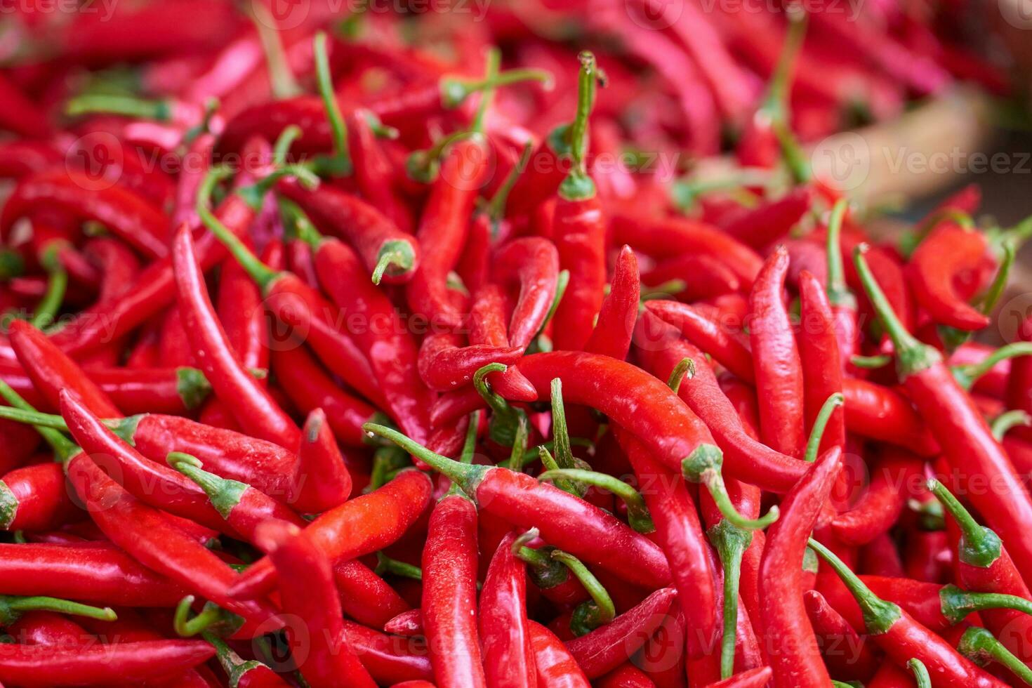 Red chili peppers on the market in Vietnam. photo