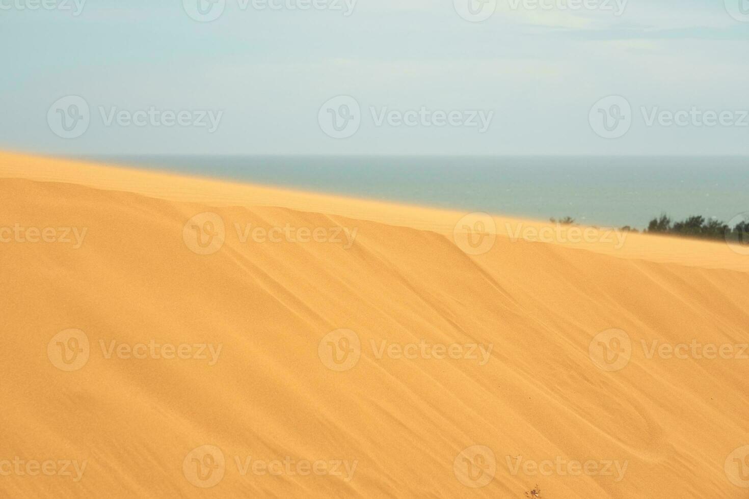 Sand dune in the desert with sea in the background photo