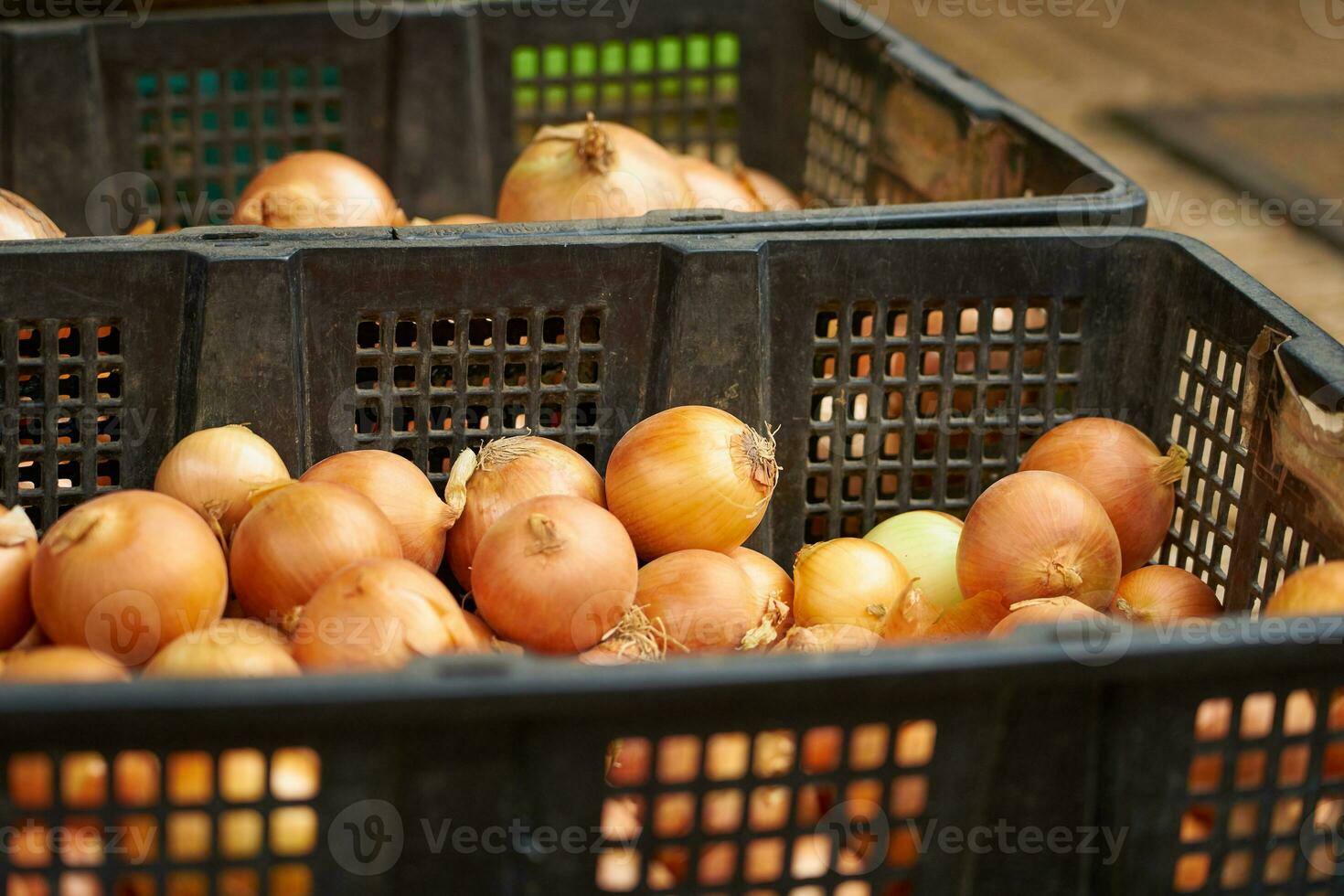 Baby onions on the market in Vietnam. photo