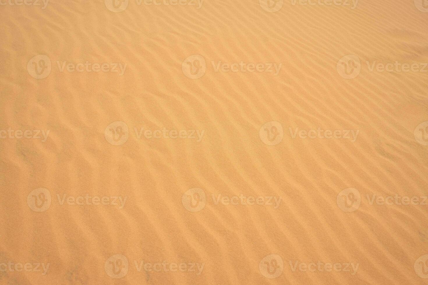 The texture of sand in the desert as a natural background. photo