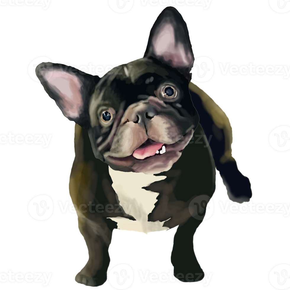 mão desenhado francês buldogue png. png