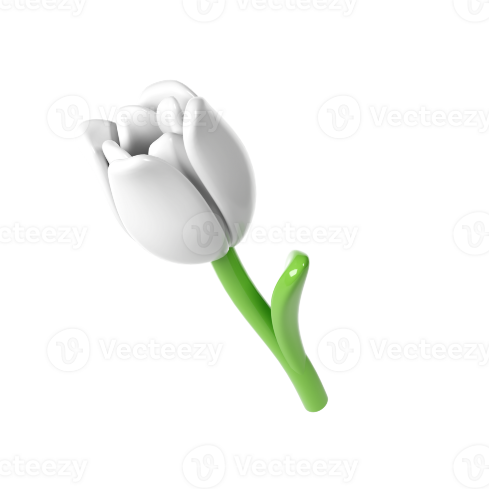 3d White Tulip Flower Cartoon Style for Bouquet or Decoration. Love Valentine romantic design transparent spring illustration png