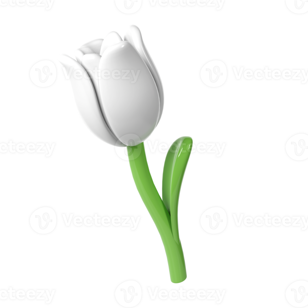 3d White Tulip Flower Cartoon Style for Bouquet or Decoration. Love Valentine romantic design transparent spring illustration png