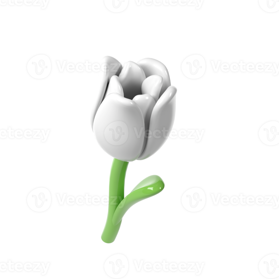 3d White Tulip Flower Cartoon Style for Bouquet or Decoration. Love Valentine romantic design transparent spring illustration png