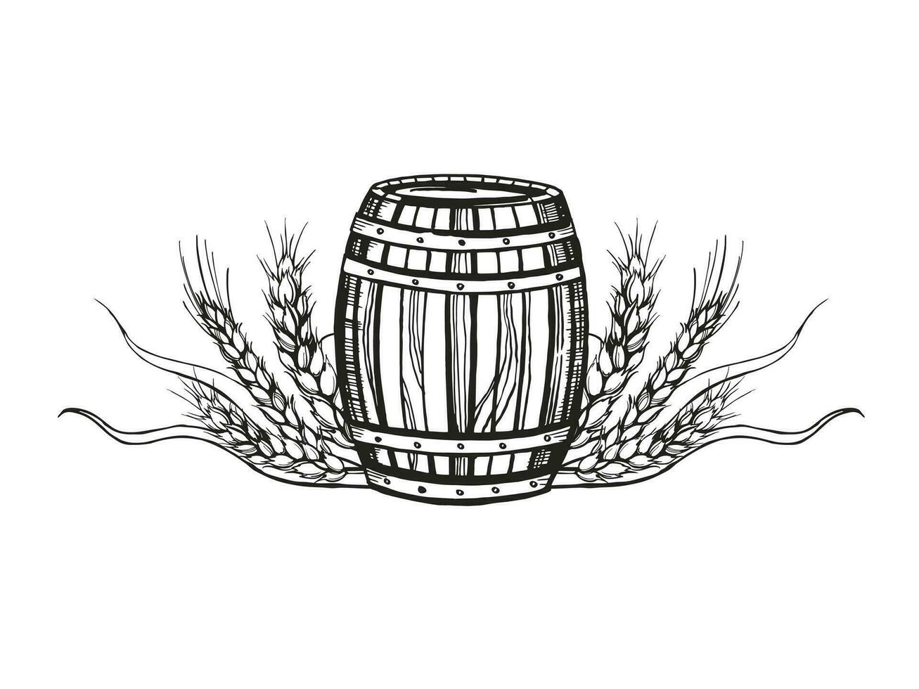 Hand drawn vector sketch of wooden barrel for wine, beer, whiskey and ears of wheat, black and white illustration of wood oak keg and wheat plant, inked illustration isolated on white background