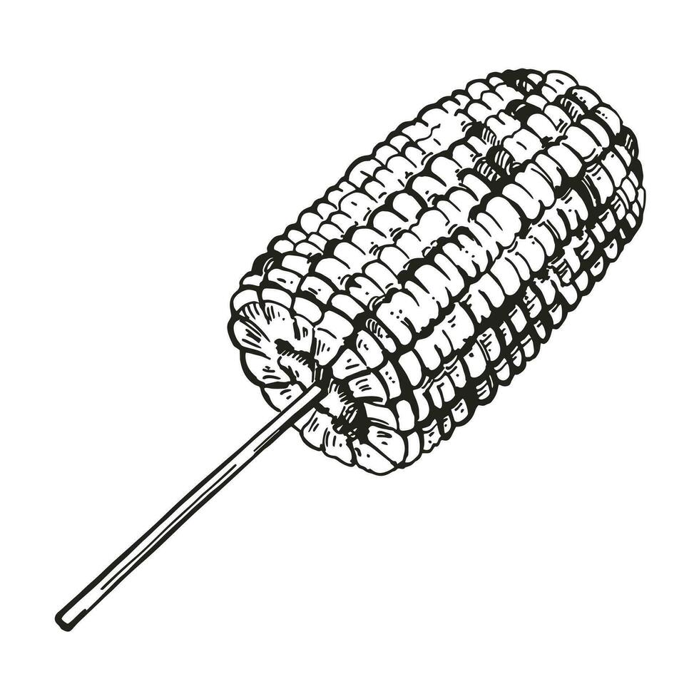 hand-drawn-vector-sketch-of-baked-sweet-corn-grilled-corn-ear-black