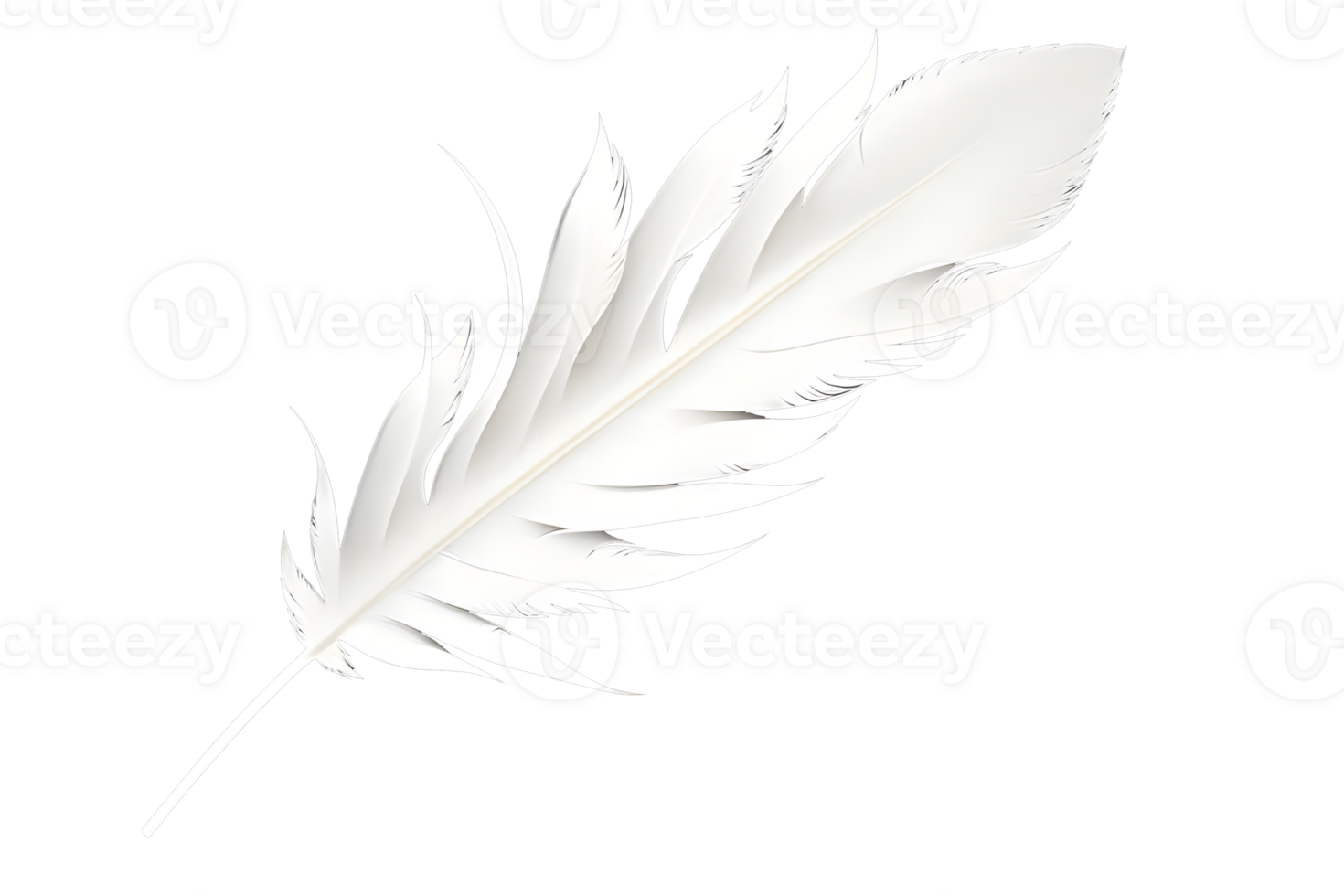 White feather 3d transparent image png