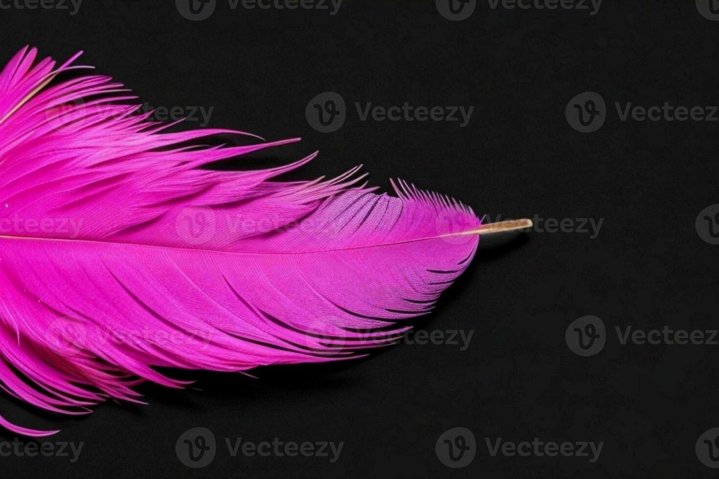 AI generated Feather texture wallpaper background with copy space for text. Pro Photo
