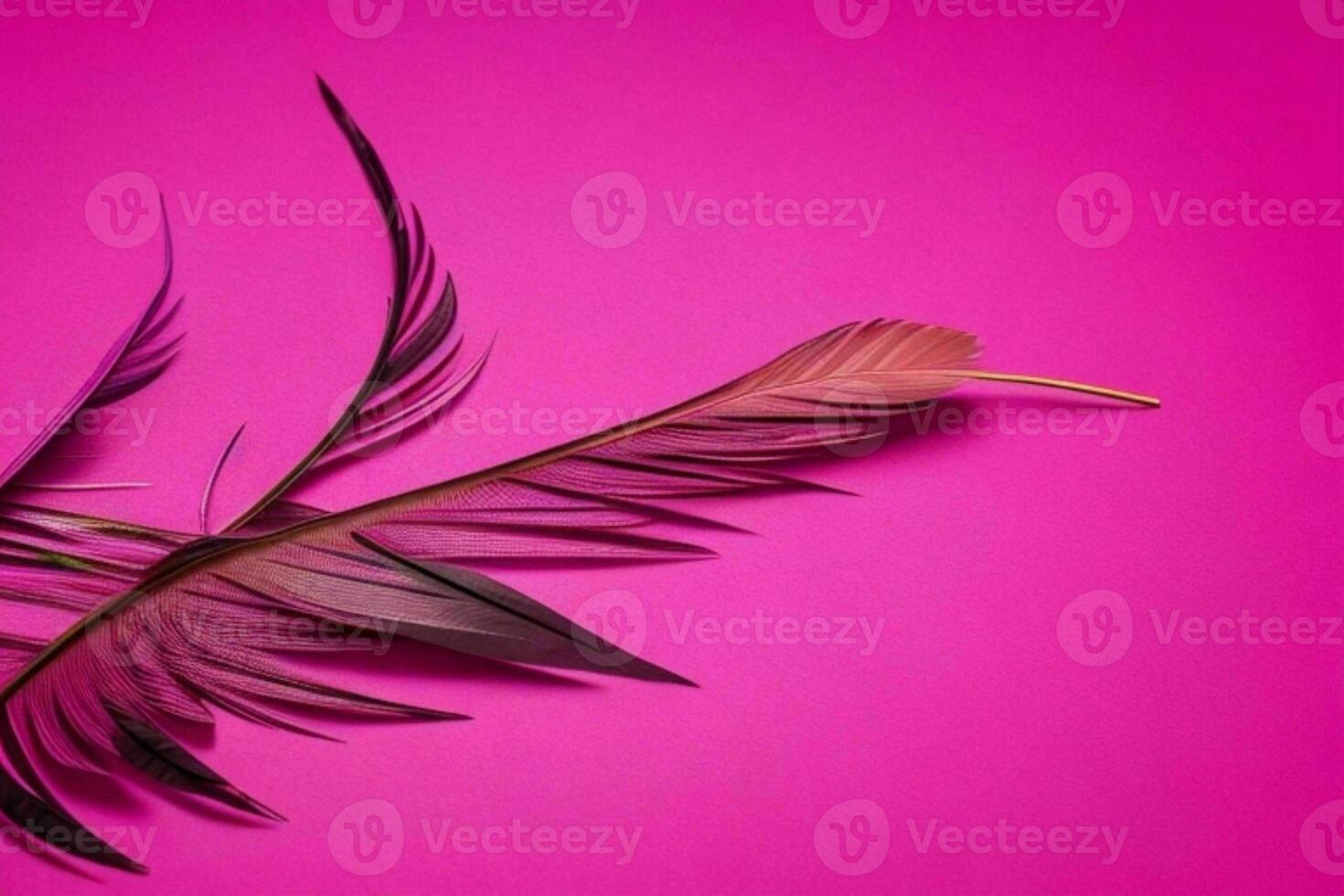 AI generated Feather texture wallpaper background with copy space for text. Pro Photo