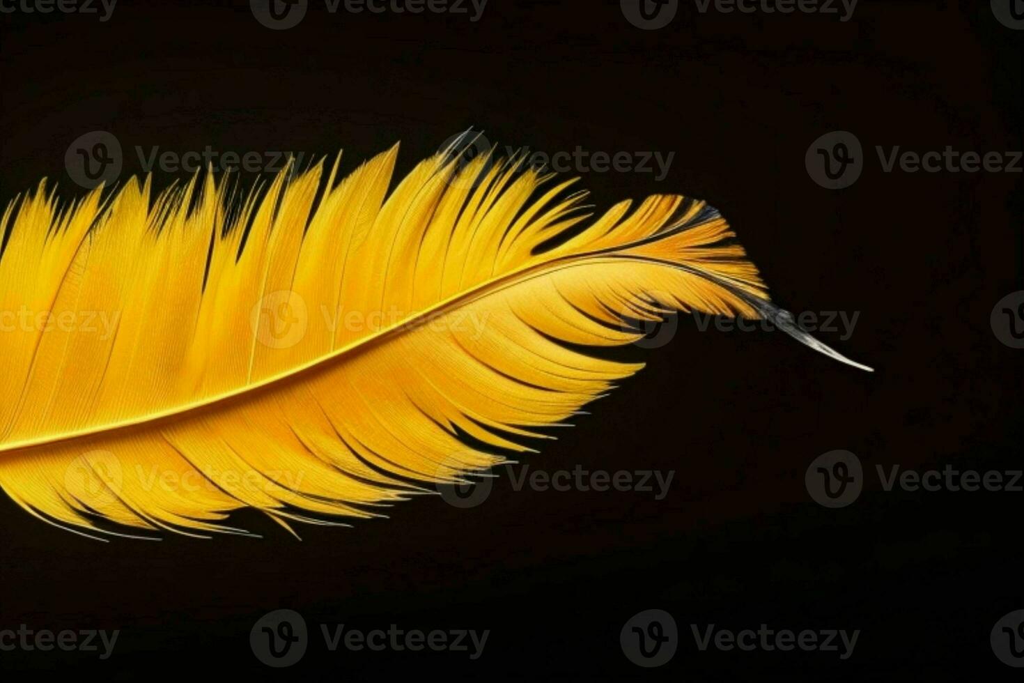AI generated Feather texture wallpaper background with copy space for text. Pro Photo