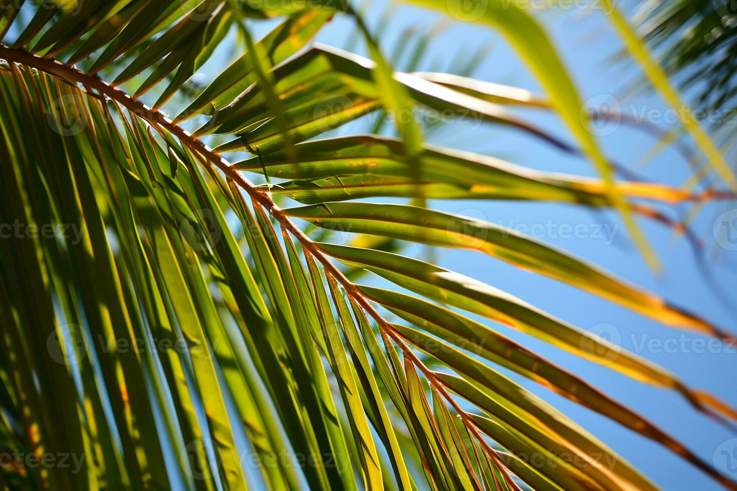 AI generated close up of a palm tree leaf with a blue sky in the background photo